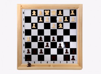 Шахматы настенные демонстрационные
